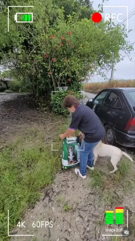 Projeto Pet Feliz: ração para cães e gatos