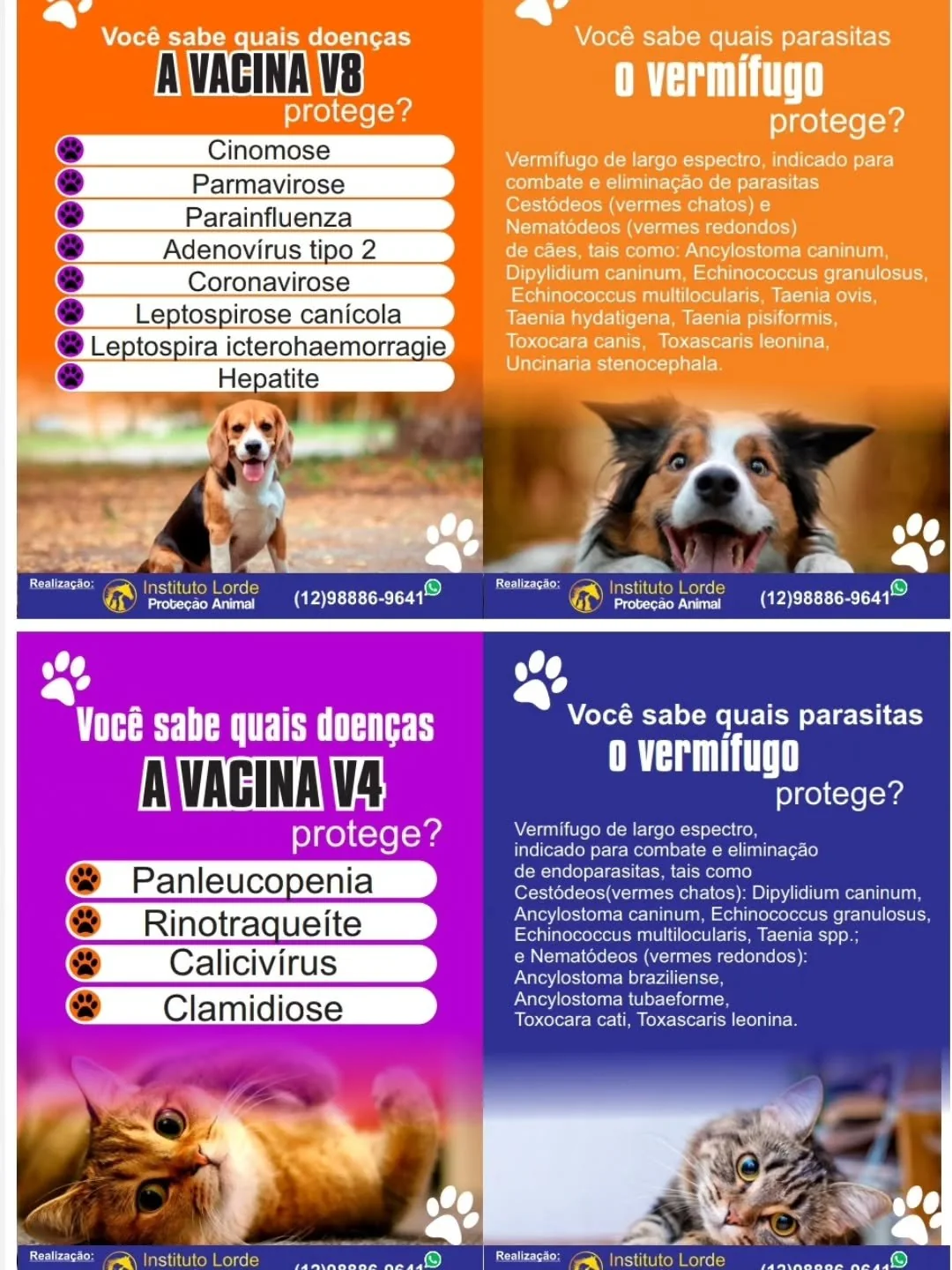 Programa Pet Saudável — vacinação gratuita